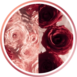 Parfum