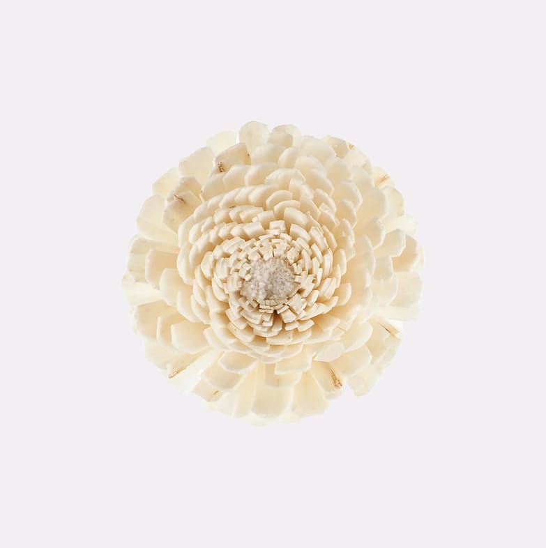 Fleur de Goatier
